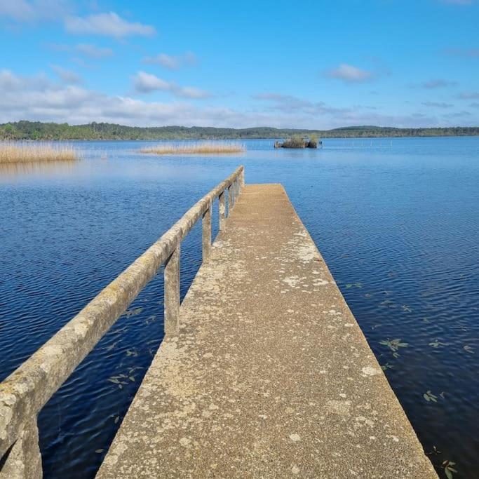 Aureilhan-Appartemant 4-6 Pp Piscine Cosy En Bord Lac Экстерьер фото